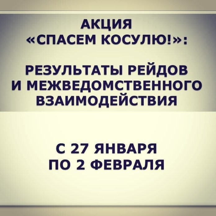 лось