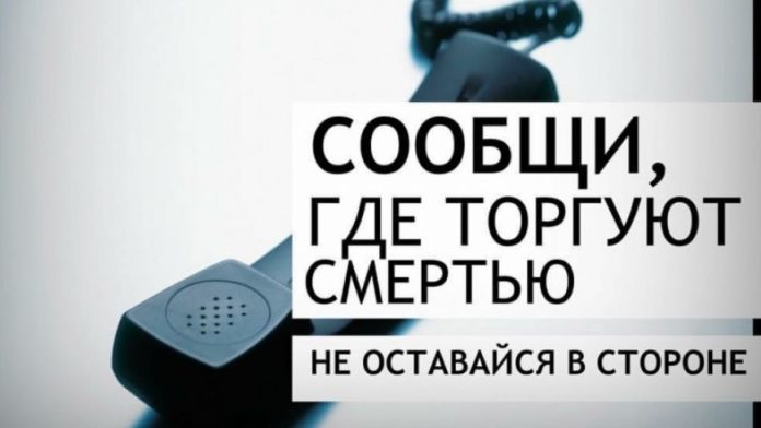 74051641