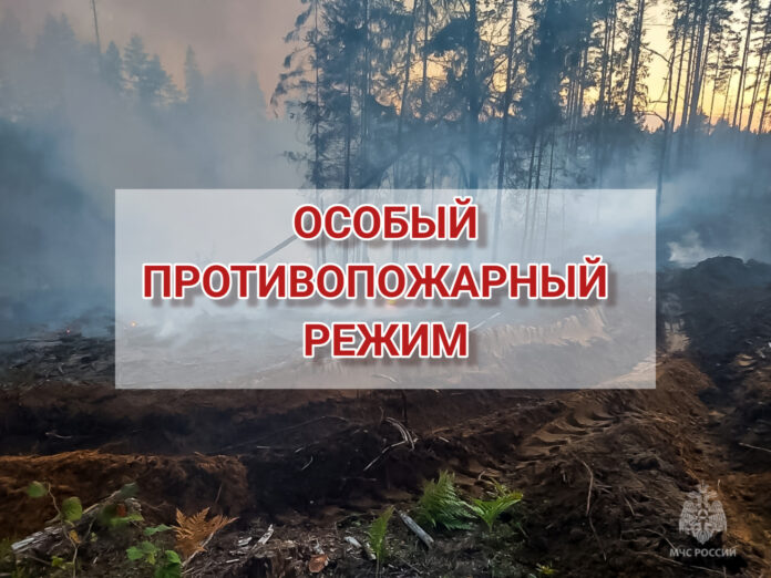 vnimanie-na-territorii-pskovskoy-oblasti-ustanovlen-osobyy-protivopozharnyy-rezhim_1683878560637799107__2000x2000